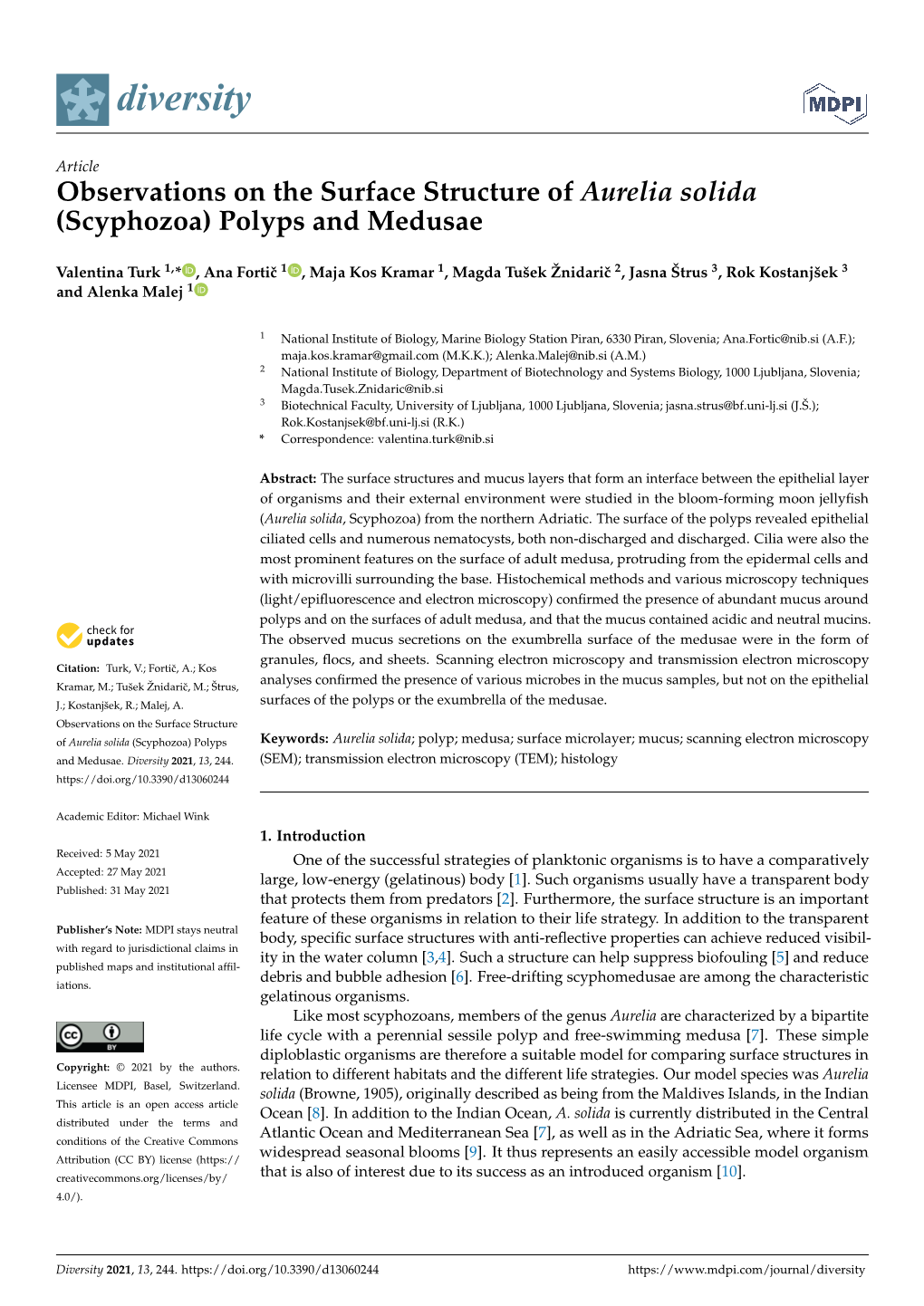 Observations on the Surface Structure of Aurelia Solida (Scyphozoa) Polyps and Medusae