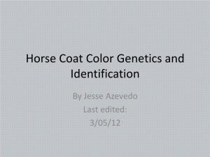 Horse Coat Color Genetics and Identification