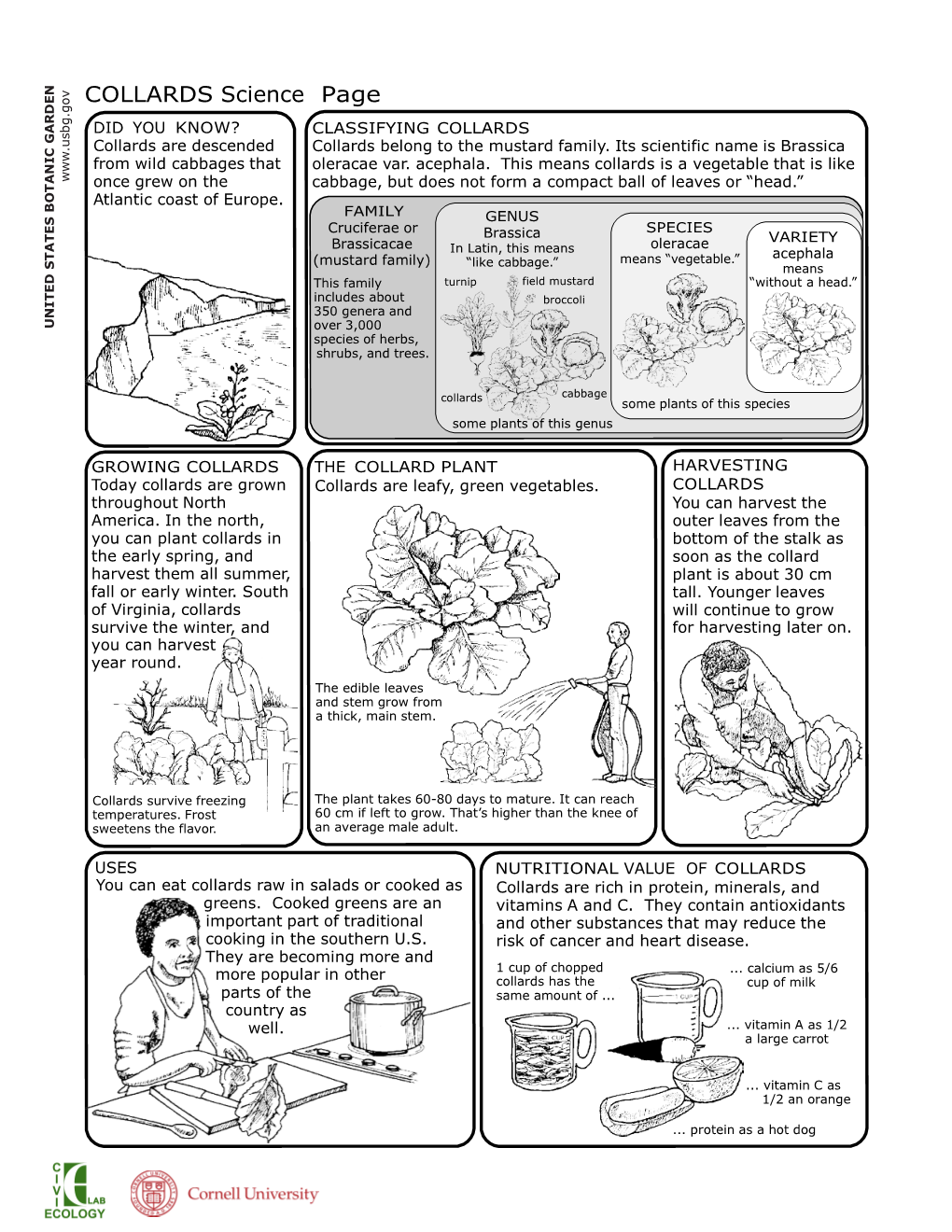 Collards Science Pages