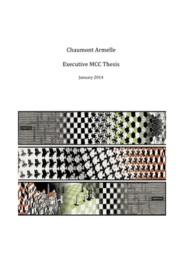 Chaumont Armelle Executive MCC Thesis