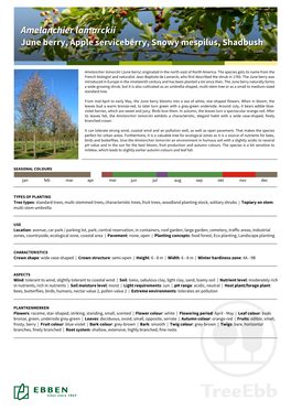 Amelanchier Lamarckiilamarckii Junejune Berry,Berry, Appleapple Serviceberry,Serviceberry, Snowysnowy Mespilus,Mespilus, Shadbushshadbush
