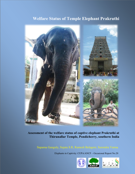 Welfare Status of Temple Elephant Prakruthi