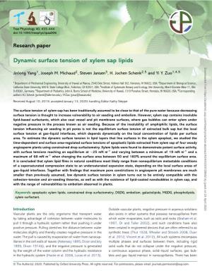 Dynamic Surface Tension of Xylem Sap Lipids