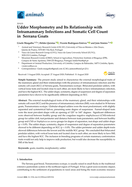 Udder Morphometry and Its Relationship with Intramammary Infections and Somatic Cell Count in Serrana Goats