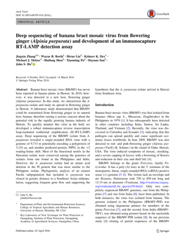 Deep Sequencing of Banana Bract Mosaic Virus from ﬂowering Ginger (Alpinia Purpurata) and Development of an Immunocapture RT-LAMP Detection Assay