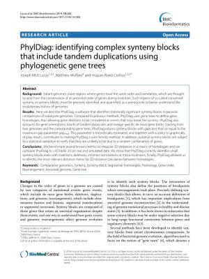 Identifying Complex Synteny Blocks That Include Tandem Duplications