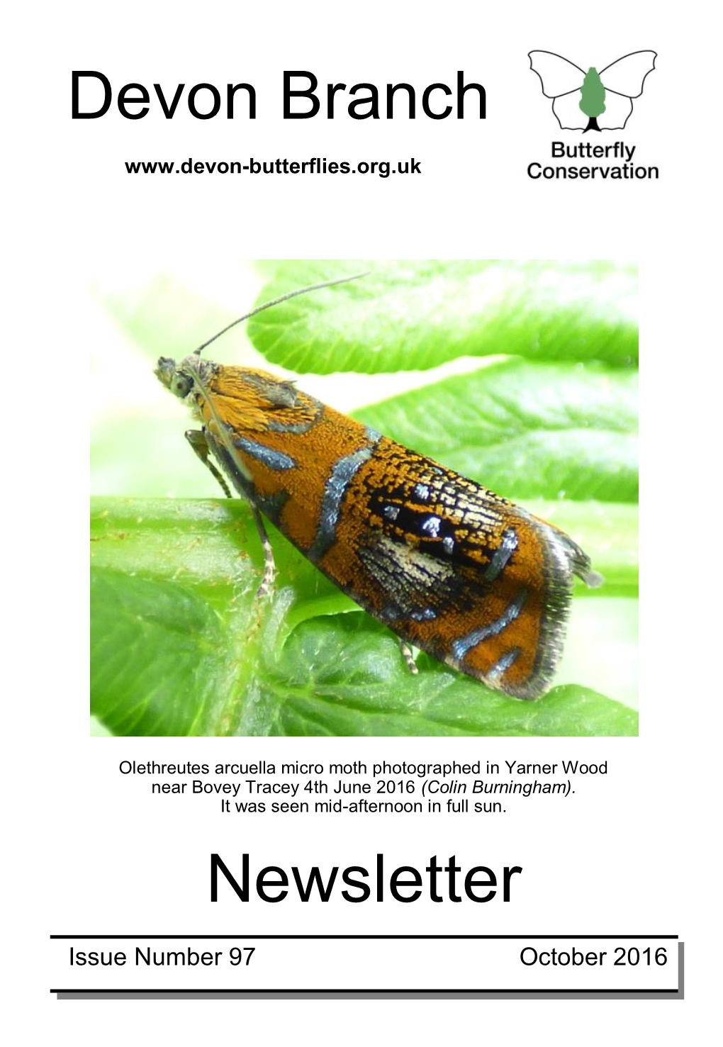 Devon Branch Newsletter