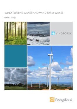Wind Turbine Wakes and Wind Farm Wakes