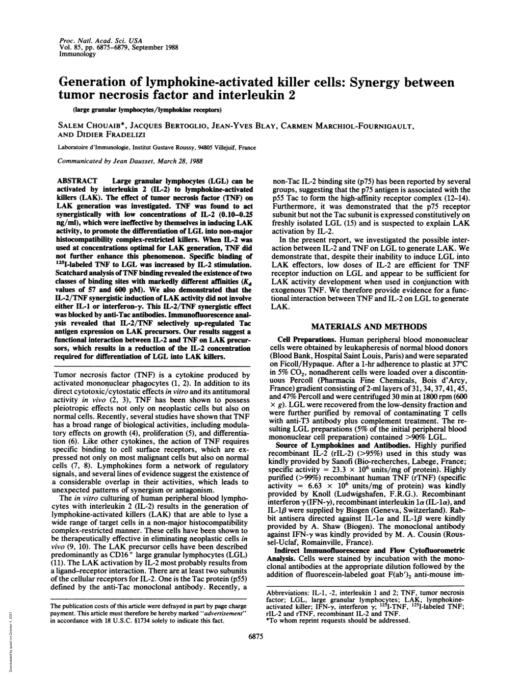 Generation of Lymphokine-Activated Killer Cells