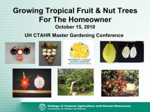 Growing Tropical Fruits and Nuts in Hawaii