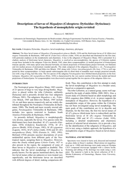 Descriptions of Larvae of Megadytes (Coleoptera: Dytiscidae: Dytiscinae): the Hypothesis of Monophyletic Origin Revisited