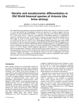Genetic and Morphometric Differentiation in Old World Bisexual Species of Artemia (The Brine Shrimp)