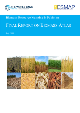 Final Report on Biomass Atlas