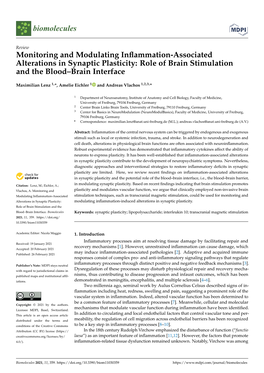 Role of Brain Stimulation and the Blood–Brain Interface