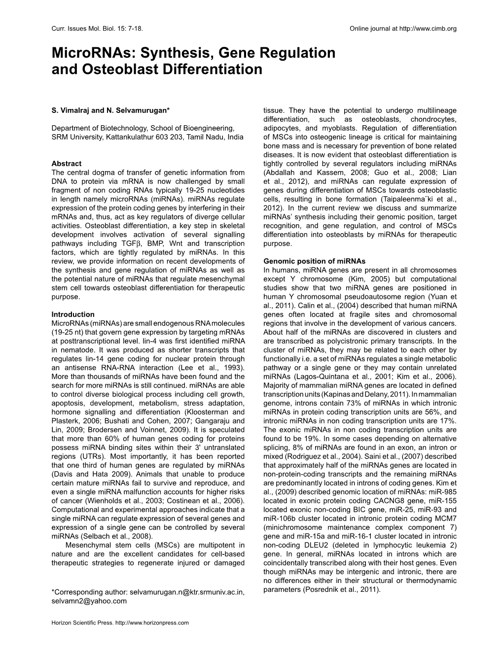 Synthesis, Gene Regulation and Osteoblast Differentiation