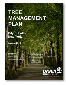Tree Management Plan