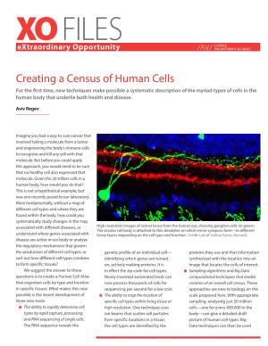 Creating a Census of Human Cells
