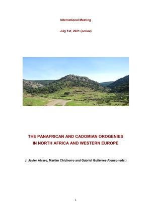 The Panafrican and Cadomian Orogenies in North Africa and Western Europe