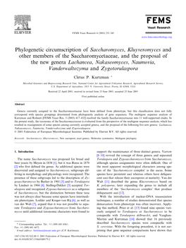 Phylogenetic Circumscription of Saccharomyces, Kluyveromyces