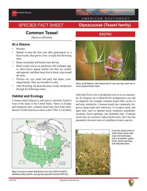 Common Teasel Species Fact Sheet