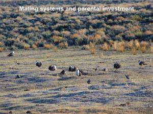 Mating Systems and Parental Investment Mating Systems