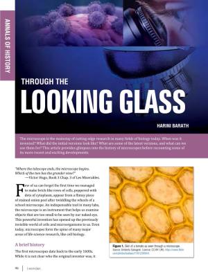Through the Looking Glass Harini Barath