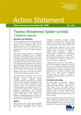 Twelve Threatened Spider-Orchids Caladenia Species
