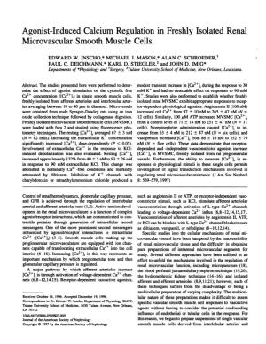 Agonist-Induced Calcium Regulation in Freshly Isolated Renal Microvascular Smooth Muscle Cells