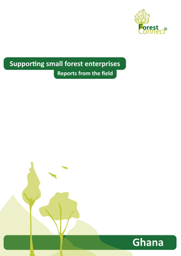 Supporting Small Forest Enterprises Reports from the Field