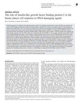 The Role of Insulin-Like Growth Factor Binding Protein-3 in the Breast Cancer Cell Response to DNA-Damaging Agents