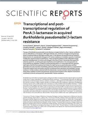 Transcriptional Regulation of Pena Β-Lactamase in Acquired