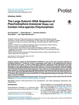 The Large Subunit Rdna Sequence of Plasmodiophora Brassicae