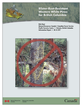 Blister-Rust-Resistant Western White Pines for British Columbia