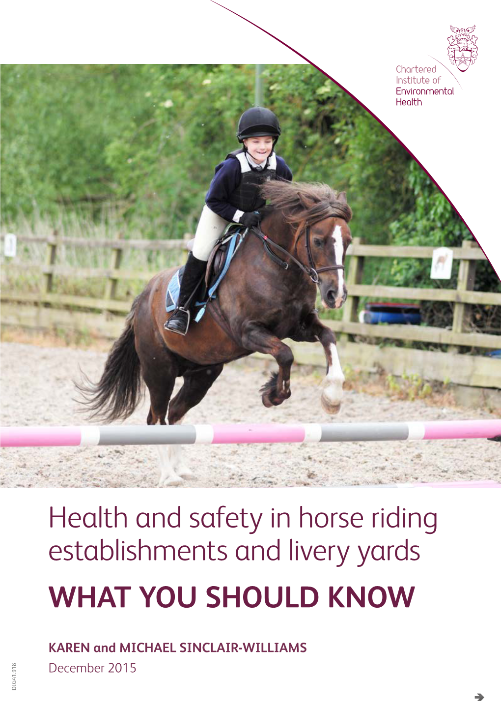 Health and Safety in Horse Riding Establishments and Livery Yards WHAT YOU SHOULD KNOW