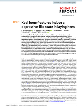 Keel Bone Fractures Induce a Depressive-Like State in Laying Hens E