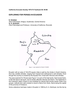 Exploring for Persea in Ecuador