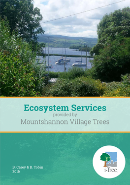 Ecosystem Services Provided by Mountshannon Village Trees