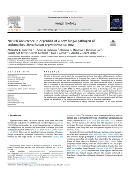 Natural Occurrence in Argentina of a New Fungal Pathogen of Cockroaches, Metarhizium Argentinense Sp