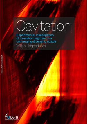 Cavitation Experimental Investigation of Cavitation Regimes in a Converging-Diverging Nozzle Willian Hogendoorn