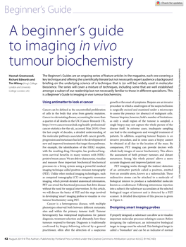 A Beginner's Guide to Imaging in Vivo Tumour Biochemistry