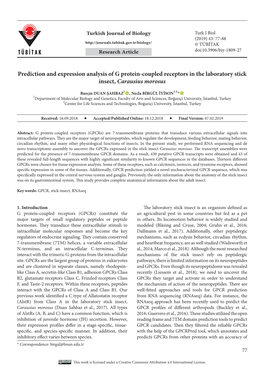 Prediction and Expression Analysis of G Protein-Coupled Receptors in the Laboratory Stick Insect, Carausius Morosus