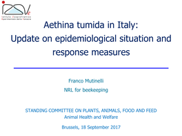 Aethina Tumida in Italy: Update on Epidemiological Situation and Response Measures