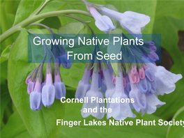 Growing Native Plants from Seed