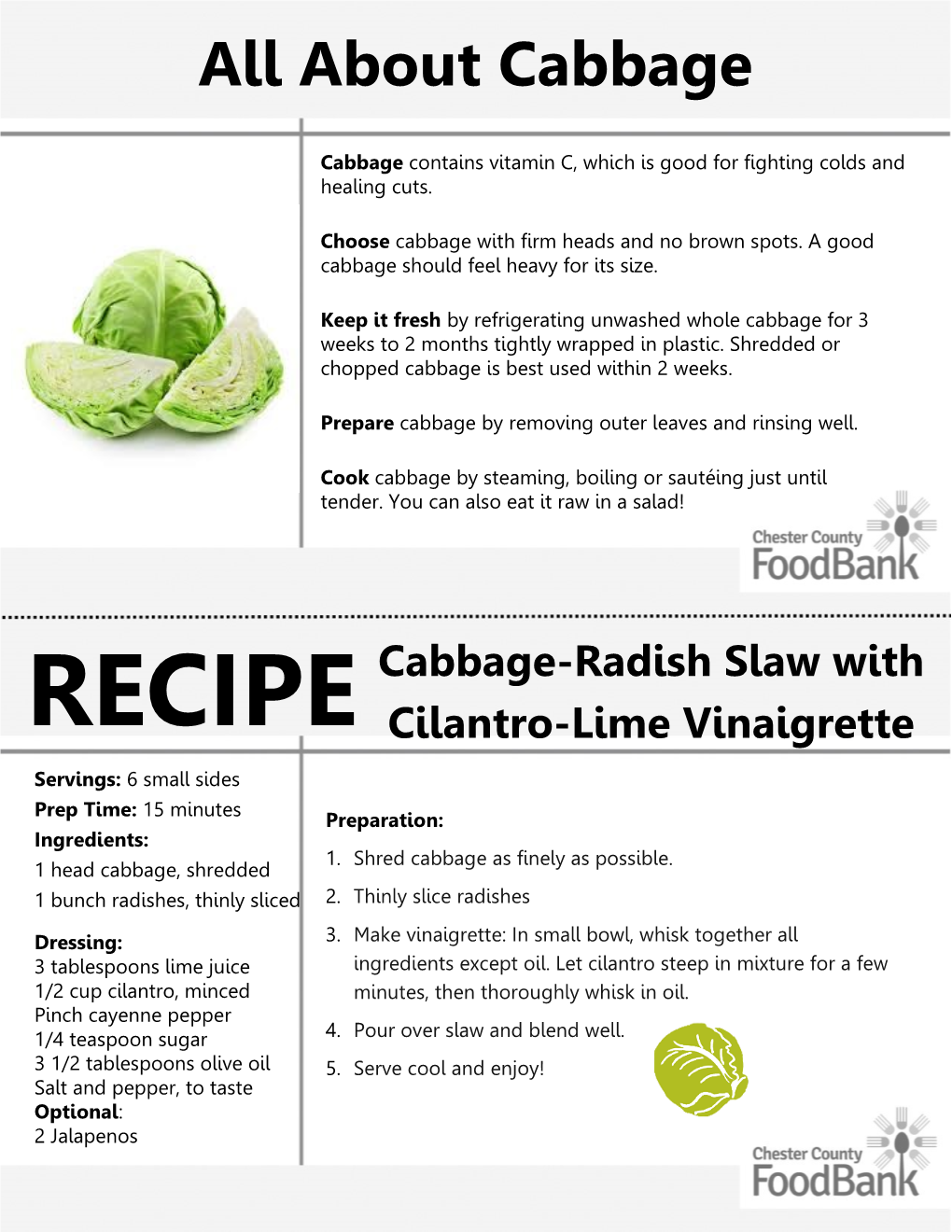 Cabbage-Radish-Cilantro Slaw