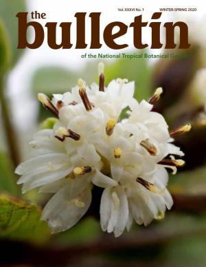 The Bulletin, 2020 Winter-Spring Issue