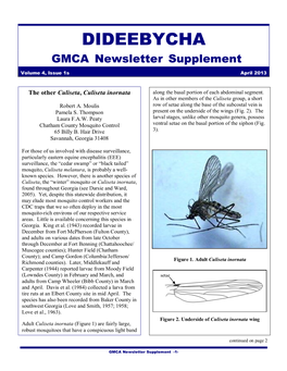 DIDEEBYCHA GMCA Newsletter Supplement Volume 4, Issue 1S April 2013