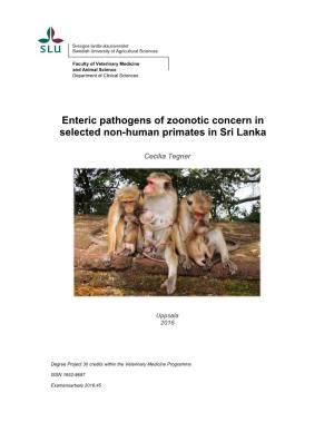 Enteric Pathogens of Zoonotic Concern in Selected Non-Human Primates in Sri Lanka