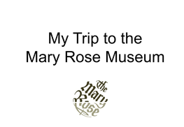We Want You to Have a Great Time at the Mary Rose Museum!