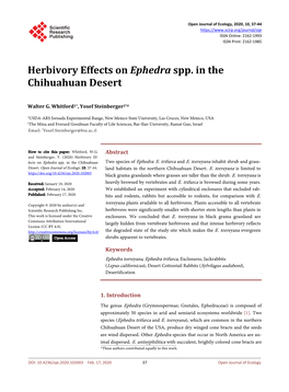 Herbivory Effects on Ephedra Spp. in the Chihuahuan Desert