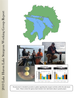 2019 Lake Huron Lake Sturgeon Working Group Report
